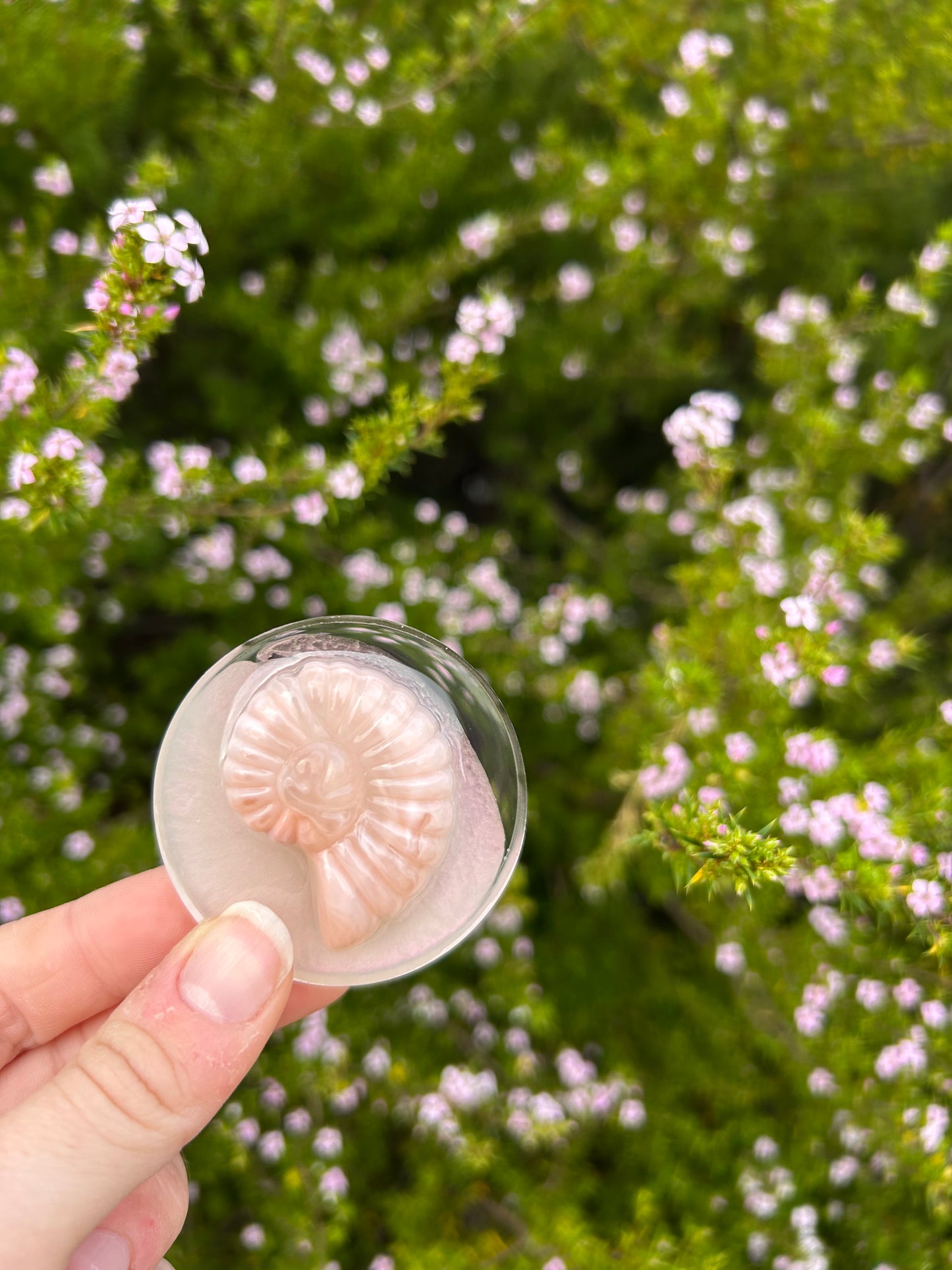 Pearlescent Seashell Small Circle Trinket | Design 1