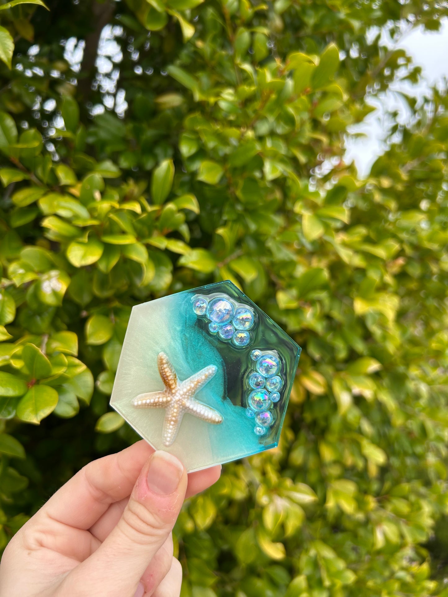 Starfish & Bubbles Hexagon Trinket