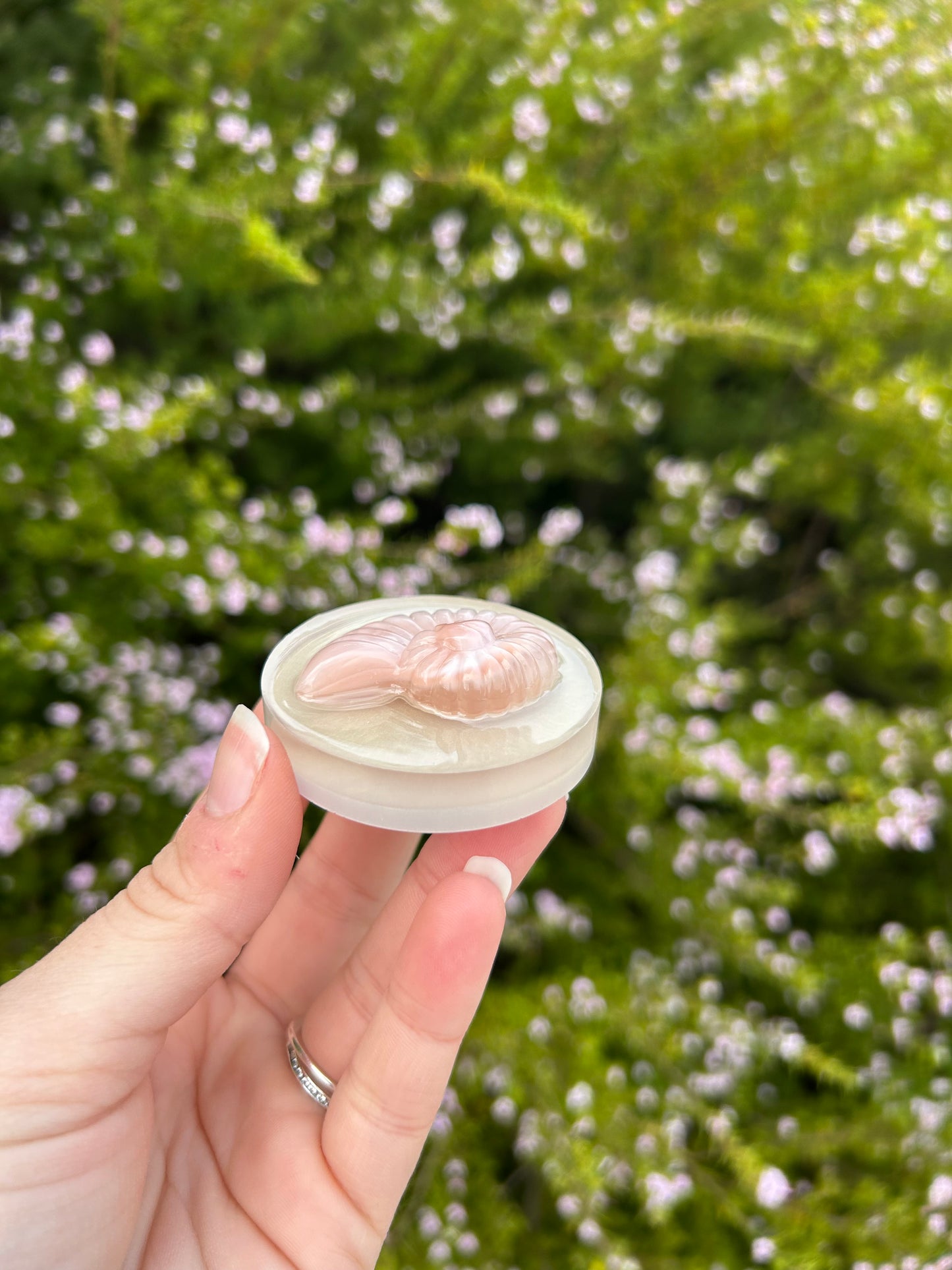 Pearlescent Seashell Small Circle Trinket | Design 2
