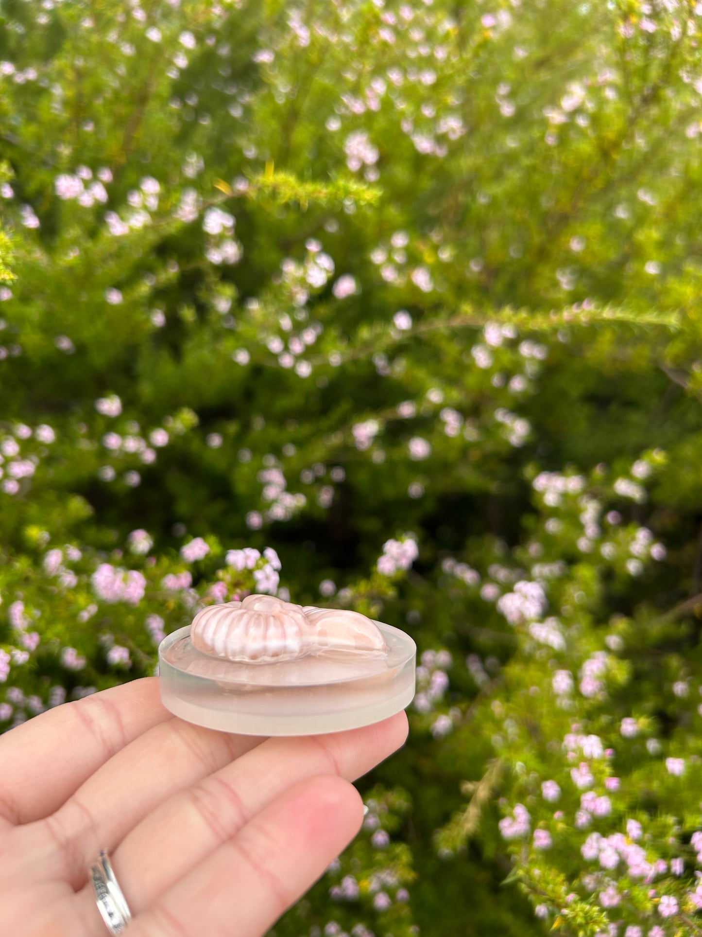Pearlescent Seashell Small Circle Trinket | Design 1