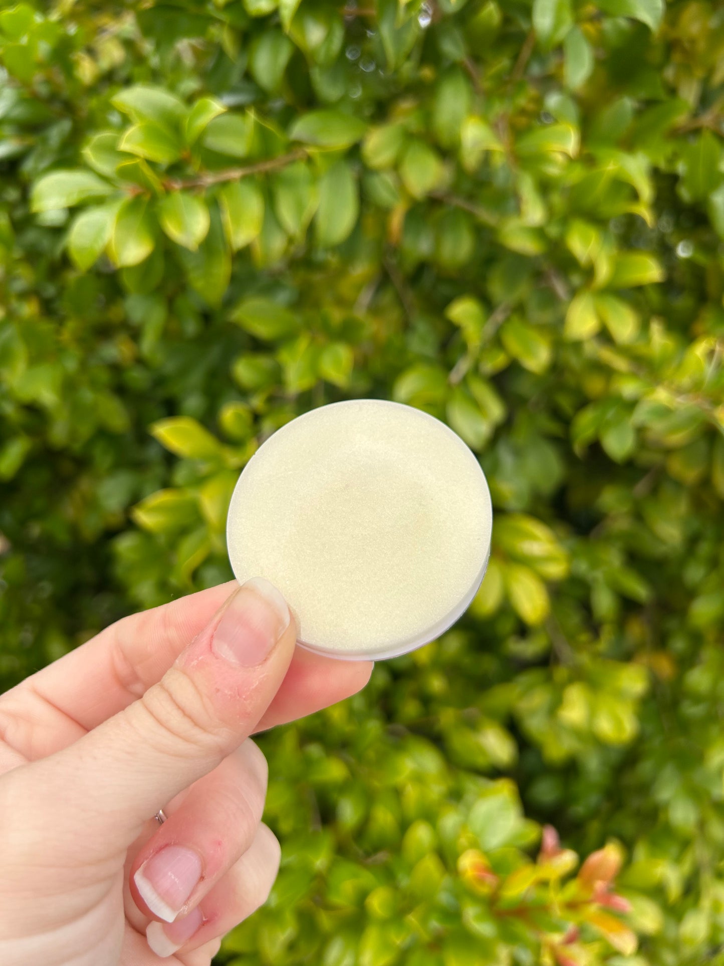 Pearlescent Seashell Small Circle Trinket | Design 2
