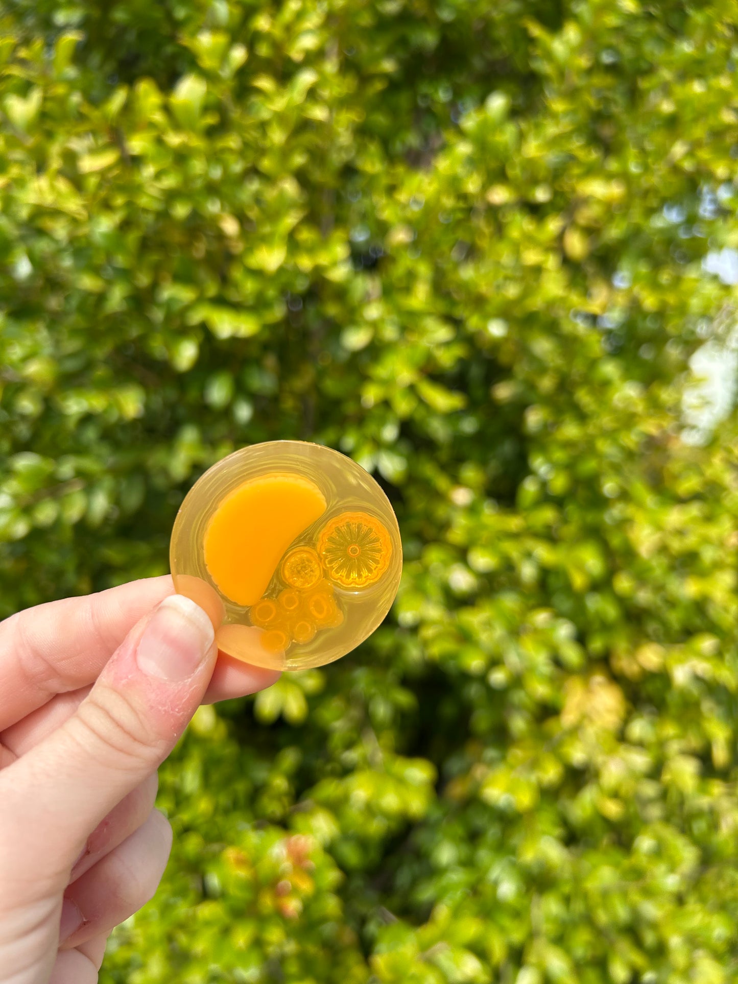 Orange Fruit Mini Circle Trinket