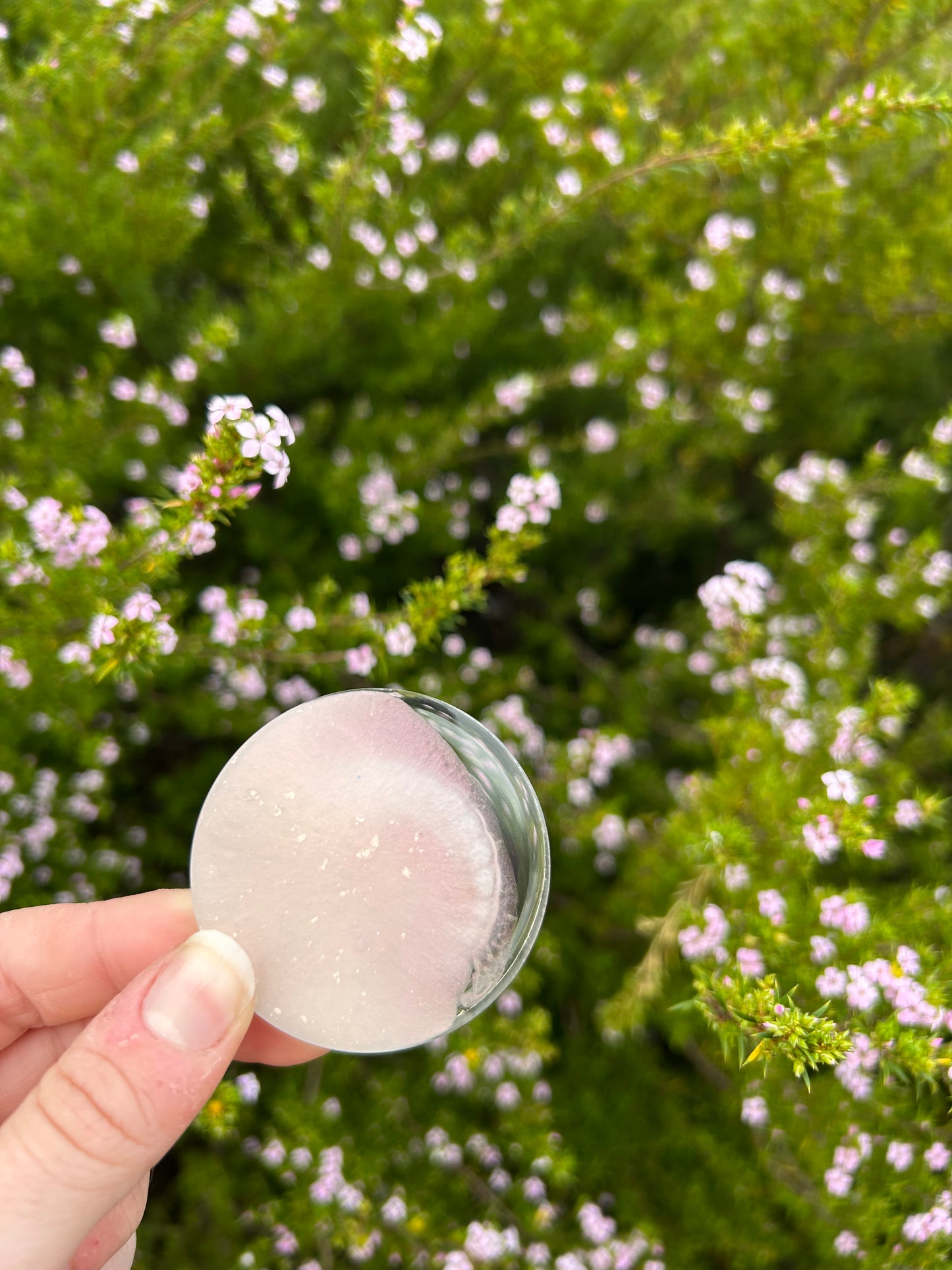 Pearlescent Seashell Small Circle Trinket | Design 1