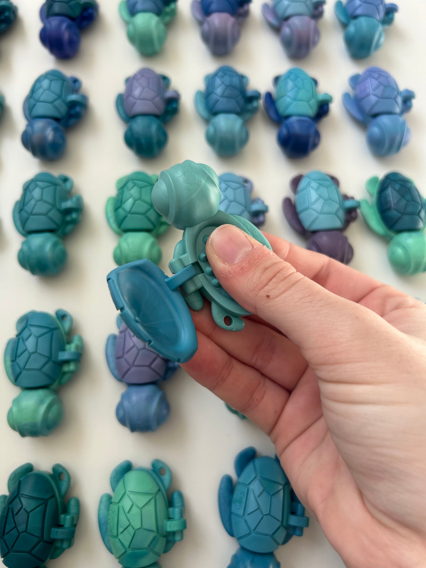 Calm Buddi Sensory Turtle PREORDER