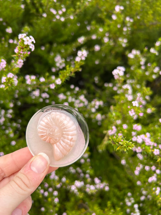 Pearlescent Seashell Small Circle Trinket | Design 1