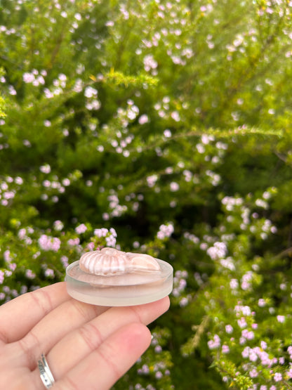 Pearlescent Seashell Small Circle Trinket | Design 1