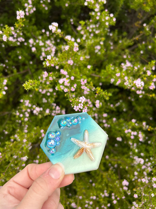 Starfish & Bubbles Hexagon Trinket