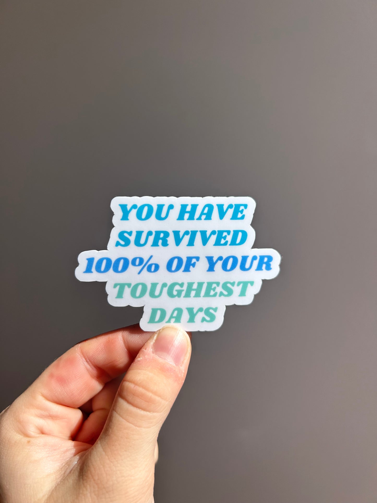 Survived 100% Of Your Toughest Days Sticker