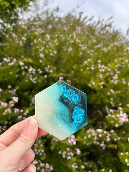 Starfish & Bubbles Hexagon Trinket